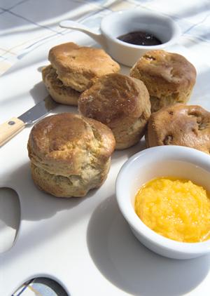 新橋で楽しむ！牡蠣食べ放題と海鮮料理が満喫できる「かき小屋 新橋店」の魅力と店舗情報