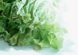 大府市のイタリアンレストラン徹底ガイド2025：絶品料理と人気店を一挙紹介