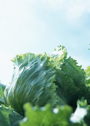 秋葉原の居酒屋完全ガイド2025：おすすめスポットと選び方を徹底解説